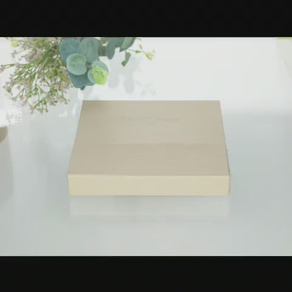 PITTアーティストペン スタジオボックス 12色セット