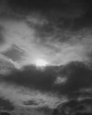 Ambition All Black 万年筆
