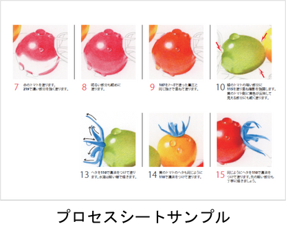 Art Box リアル色鉛筆画　(三上詩絵監修)